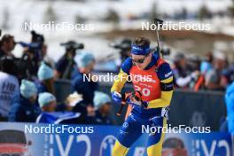 10.03.2024, Soldier Hollow, United States of America (USA): Martin Ponsiluoma (SWE) - IBU World Cup Biathlon, pursuit men, Soldier Hollow (USA). www.nordicfocus.com. © Manzoni/NordicFocus. Every downloaded picture is fee-liable.