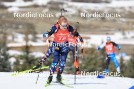 10.03.2024, Soldier Hollow, United States of America (USA): Johannes Dale-Skjevdal (NOR) - IBU World Cup Biathlon, pursuit men, Soldier Hollow (USA). www.nordicfocus.com. © Manzoni/NordicFocus. Every downloaded picture is fee-liable.