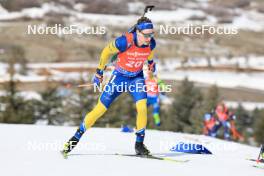 10.03.2024, Soldier Hollow, United States of America (USA): Martin Ponsiluoma (SWE) - IBU World Cup Biathlon, pursuit men, Soldier Hollow (USA). www.nordicfocus.com. © Manzoni/NordicFocus. Every downloaded picture is fee-liable.