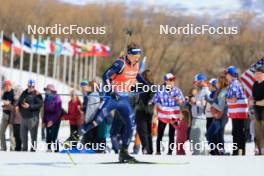 10.03.2024, Soldier Hollow, United States of America (USA): Elia Zeni (ITA) - IBU World Cup Biathlon, pursuit men, Soldier Hollow (USA). www.nordicfocus.com. © Manzoni/NordicFocus. Every downloaded picture is fee-liable.