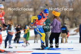 10.03.2024, Soldier Hollow, United States of America (USA): Jesper Nelin (SWE) - IBU World Cup Biathlon, pursuit men, Soldier Hollow (USA). www.nordicfocus.com. © Manzoni/NordicFocus. Every downloaded picture is fee-liable.
