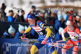 10.03.2024, Soldier Hollow, United States of America (USA): Elvira Oeberg (SWE) - IBU World Cup Biathlon, pursuit women, Soldier Hollow (USA). www.nordicfocus.com. © Manzoni/NordicFocus. Every downloaded picture is fee-liable.