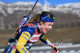 10.03.2024, Soldier Hollow, United States of America (USA): Elvira Oeberg (SWE) - IBU World Cup Biathlon, pursuit women, Soldier Hollow (USA). www.nordicfocus.com. © Manzoni/NordicFocus. Every downloaded picture is fee-liable.