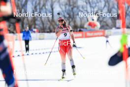 10.03.2024, Soldier Hollow, United States of America (USA): Lena Haecki-Gross (SUI) - IBU World Cup Biathlon, pursuit women, Soldier Hollow (USA). www.nordicfocus.com. © Manzoni/NordicFocus. Every downloaded picture is fee-liable.