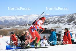 09.03.2024, Soldier Hollow, United States of America (USA): Joanna Jakiela (POL) - IBU World Cup Biathlon, relay women, Soldier Hollow (USA). www.nordicfocus.com. © Manzoni/NordicFocus. Every downloaded picture is fee-liable.