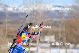 09.03.2024, Soldier Hollow, United States of America (USA): Elvira Oeberg (SWE) - IBU World Cup Biathlon, relay women, Soldier Hollow (USA). www.nordicfocus.com. © Manzoni/NordicFocus. Every downloaded picture is fee-liable.