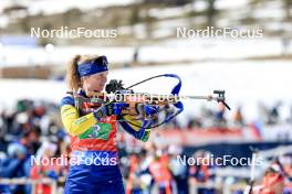 09.03.2024, Soldier Hollow, United States of America (USA): Mona Brorsson (SWE) - IBU World Cup Biathlon, relay women, Soldier Hollow (USA). www.nordicfocus.com. © Manzoni/NordicFocus. Every downloaded picture is fee-liable.