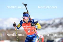 09.03.2024, Soldier Hollow, United States of America (USA): Anna Magnusson (SWE) - IBU World Cup Biathlon, relay women, Soldier Hollow (USA). www.nordicfocus.com. © Manzoni/NordicFocus. Every downloaded picture is fee-liable.