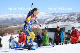 09.03.2024, Soldier Hollow, United States of America (USA): Elvira Oeberg (SWE) - IBU World Cup Biathlon, relay women, Soldier Hollow (USA). www.nordicfocus.com. © Manzoni/NordicFocus. Every downloaded picture is fee-liable.