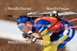 09.03.2024, Soldier Hollow, United States of America (USA): Hanna Oeberg (SWE) - IBU World Cup Biathlon, relay women, Soldier Hollow (USA). www.nordicfocus.com. © Manzoni/NordicFocus. Every downloaded picture is fee-liable.