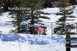 09.03.2024, Soldier Hollow, United States of America (USA): Jeremy Finello (SUI) - IBU World Cup Biathlon, sprint men, Soldier Hollow (USA). www.nordicfocus.com. © Manzoni/NordicFocus. Every downloaded picture is fee-liable.