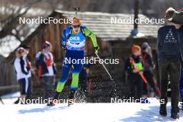 09.03.2024, Soldier Hollow, United States of America (USA): Anton Vidmar (SLO) - IBU World Cup Biathlon, sprint men, Soldier Hollow (USA). www.nordicfocus.com. © Manzoni/NordicFocus. Every downloaded picture is fee-liable.