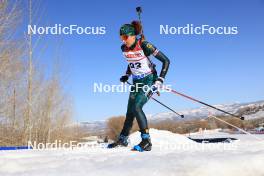 08.03.2024, Soldier Hollow, United States of America (USA): Natalja Kocergina (LTU) - IBU World Cup Biathlon, sprint women, Soldier Hollow (USA). www.nordicfocus.com. © Manzoni/NordicFocus. Every downloaded picture is fee-liable.