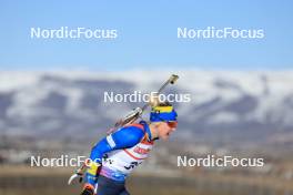 08.03.2024, Soldier Hollow, United States of America (USA): Yuliia Dzhima (UKR) - IBU World Cup Biathlon, sprint women, Soldier Hollow (USA). www.nordicfocus.com. © Manzoni/NordicFocus. Every downloaded picture is fee-liable.