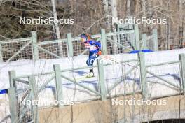 08.03.2024, Soldier Hollow, United States of America (USA): Chloe Levins (USA) - IBU World Cup Biathlon, sprint women, Soldier Hollow (USA). www.nordicfocus.com. © Manzoni/NordicFocus. Every downloaded picture is fee-liable.