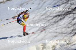 08.03.2024, Soldier Hollow, United States of America (USA): Lotte Lie (BEL) - IBU World Cup Biathlon, sprint women, Soldier Hollow (USA). www.nordicfocus.com. © Manzoni/NordicFocus. Every downloaded picture is fee-liable.