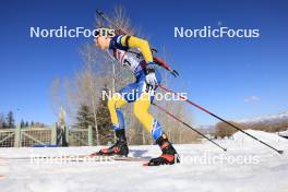 08.03.2024, Soldier Hollow, United States of America (USA): Stina Nilsson (SWE) - IBU World Cup Biathlon, sprint women, Soldier Hollow (USA). www.nordicfocus.com. © Manzoni/NordicFocus. Every downloaded picture is fee-liable.