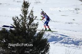 08.03.2024, Soldier Hollow, United States of America (USA): Marketa Davidova (CZE) - IBU World Cup Biathlon, sprint women, Soldier Hollow (USA). www.nordicfocus.com. © Manzoni/NordicFocus. Every downloaded picture is fee-liable.