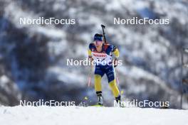 08.03.2024, Soldier Hollow, United States of America (USA): Anna Magnusson (SWE) - IBU World Cup Biathlon, sprint women, Soldier Hollow (USA). www.nordicfocus.com. © Manzoni/NordicFocus. Every downloaded picture is fee-liable.