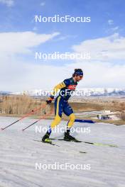 06.03.2024, Soldier Hollow, United States of America (USA): Peppe Femling (SWE) - IBU World Cup Biathlon, training, Soldier Hollow (USA). www.nordicfocus.com. © Manzoni/NordicFocus. Every downloaded picture is fee-liable.