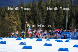 16.03.2024, Canmore, Canada (CAN): Jonas Marecek (CZE), Vitezslav Hornig (CZE), Martin Ponsiluoma (SWE), Zachary Connelly (CAN), Florent Claude (BEL), David Komatz (AUT), Anton Ivarsson (SWE), Elia Zeni (ITA), (l-r) - IBU World Cup Biathlon, pursuit men, Canmore (CAN). www.nordicfocus.com. © Manzoni/NordicFocus. Every downloaded picture is fee-liable.