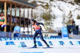 16.03.2024, Canmore, Canada (CAN): Lisa Vittozzi (ITA) - IBU World Cup Biathlon, pursuit women, Canmore (CAN). www.nordicfocus.com. © Manzoni/NordicFocus. Every downloaded picture is fee-liable.