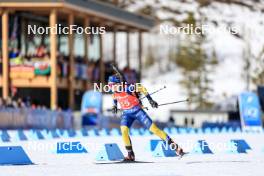 16.03.2024, Canmore, Canada (CAN): Anna-Karin Heijdenberg (SWE) - IBU World Cup Biathlon, pursuit women, Canmore (CAN). www.nordicfocus.com. © Manzoni/NordicFocus. Every downloaded picture is fee-liable.