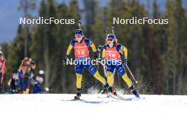 16.03.2024, Canmore, Canada (CAN): Anna-Karin Heijdenberg (SWE), Mona Brorsson (SWE), (l-r) - IBU World Cup Biathlon, pursuit women, Canmore (CAN). www.nordicfocus.com. © Manzoni/NordicFocus. Every downloaded picture is fee-liable.