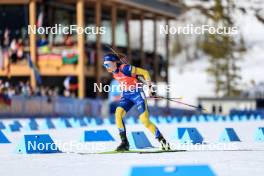 16.03.2024, Canmore, Canada (CAN): Hanna Oeberg (SWE) - IBU World Cup Biathlon, pursuit women, Canmore (CAN). www.nordicfocus.com. © Manzoni/NordicFocus. Every downloaded picture is fee-liable.
