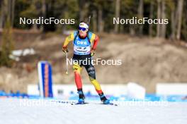 15.03.2024, Canmore, Canada (CAN): Marek Mackels (BEL) - IBU World Cup Biathlon, sprint men, Canmore (CAN). www.nordicfocus.com. © Manzoni/NordicFocus. Every downloaded picture is fee-liable.