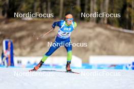 15.03.2024, Canmore, Canada (CAN): Miha Dovzan (SLO) - IBU World Cup Biathlon, sprint men, Canmore (CAN). www.nordicfocus.com. © Manzoni/NordicFocus. Every downloaded picture is fee-liable.