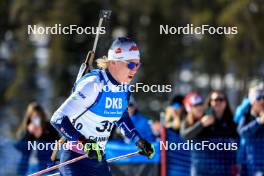 15.03.2024, Canmore, Canada (CAN): Otto Invenius (FIN) - IBU World Cup Biathlon, sprint men, Canmore (CAN). www.nordicfocus.com. © Manzoni/NordicFocus. Every downloaded picture is fee-liable.