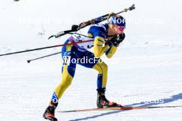 14.03.2024, Canmore, Canada (CAN): Anna-Karin Heijdenberg (SWE) - IBU World Cup Biathlon, sprint women, Canmore (CAN). www.nordicfocus.com. © Manzoni/NordicFocus. Every downloaded picture is fee-liable.