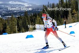 14.03.2024, Canmore, Canada (CAN): Aita Gasparin (SUI) - IBU World Cup Biathlon, sprint women, Canmore (CAN). www.nordicfocus.com. © Manzoni/NordicFocus. Every downloaded picture is fee-liable.