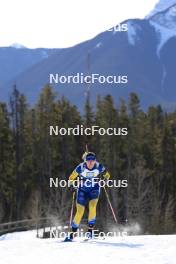 14.03.2024, Canmore, Canada (CAN): Elvira Oeberg (SWE) - IBU World Cup Biathlon, sprint women, Canmore (CAN). www.nordicfocus.com. © Manzoni/NordicFocus. Every downloaded picture is fee-liable.