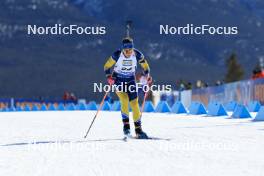 14.03.2024, Canmore, Canada (CAN): Sara Andersson (SWE) - IBU World Cup Biathlon, sprint women, Canmore (CAN). www.nordicfocus.com. © Manzoni/NordicFocus. Every downloaded picture is fee-liable.