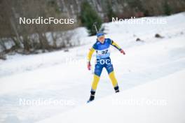 26.01.2024, Brezno-Osrblie, Slovakia (SVK): Sara Andersson (SWE) - IBU Open European Championships Biathlon, sprint women, Brezno-Osrblie (SVK). www.nordicfocus.com. © Reichert/NordicFocus. Every downloaded picture is fee-liable.