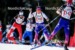 22.03.2024, Meribel, France (FRA): Kelvin Lecomte (FRA) - French Championships biathlon, mass, Meribel (FRA). www.nordicfocus.com. © Thibaut/NordicFocus. Every downloaded picture is fee-liable.