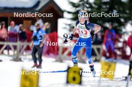 22.03.2024, Meribel, France (FRA): Niels Bibollet (FRA) - French Championships biathlon, mass, Meribel (FRA). www.nordicfocus.com. © Thibaut/NordicFocus. Every downloaded picture is fee-liable.