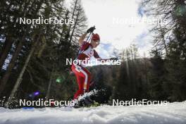 22.03.2024, Ulrichen, Switzerland (SUI): Basil Rohrer (SUI) - Swiss Championships biathlon, sprint, Ulrichen (SUI). www.nordicfocus.com. © Manzoni/NordicFocus. Every downloaded picture is fee-liable.