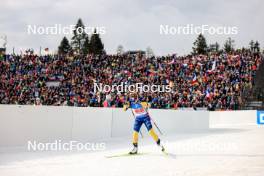 17.02.2024, Nove Mesto na Morave, Czechia (CZE): Anna Magnusson (SWE) - IBU World Championships Biathlon, relay women, Nove Mesto na Morave (CZE). www.nordicfocus.com. © Manzoni/NordicFocus. Every downloaded picture is fee-liable.