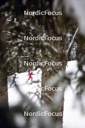 04.01.2024, Davos, Switzerland (SUI): Sophia Laukli (USA), Margrethe Bergane (NOR), Anne Kjersti Kalvaa (NOR), (l-r)  - FIS world cup cross-country, tour de ski, pursuit, Davos (SUI). www.nordicfocus.com. © Modica/NordicFocus. Every downloaded picture is fee-liable.