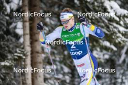 04.01.2024, Davos, Switzerland (SUI): Edvin Anger (SWE) - FIS world cup cross-country, tour de ski, pursuit, Davos (SUI). www.nordicfocus.com. © Modica/NordicFocus. Every downloaded picture is fee-liable.