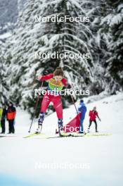 07.01.2024, Val di Fiemme, Italy (ITA): Margrethe Bergane (NOR) - FIS world cup cross-country, tour de ski, final climb, Val di Fiemme (ITA). www.nordicfocus.com. © Barbieri/NordicFocus. Every downloaded picture is fee-liable.