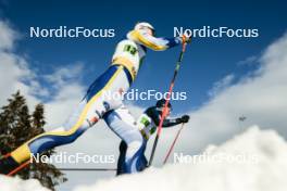 21.01.2024, Oberhof, Germany (GER): Oskar Svensson (SWE) - FIS world cup cross-country, relay, Oberhof (GER). www.nordicfocus.com. © Modica/NordicFocus. Every downloaded picture is fee-liable.