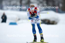 26.01.2024, Goms, Switzerland (SUI): Edvin Anger (SWE) - FIS world cup cross-country, mixed relay, Goms (SUI). www.nordicfocus.com. © Modica/NordicFocus. Every downloaded picture is fee-liable.
