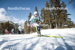 09.02.2024, Canmore, Canada (CAN): Ebba Andersson (SWE), Frida Karlsson (SWE), (l-r)  - FIS world cup cross-country, 15km mass, Canmore (CAN). www.nordicfocus.com. © Modica/NordicFocus. Every downloaded picture is fee-liable.