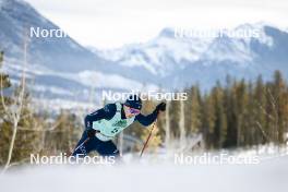 10.02.2024, Canmore, Canada (CAN): Elia Barp (ITA) - FIS world cup cross-country, individual sprint, Canmore (CAN). www.nordicfocus.com. © Modica/NordicFocus. Every downloaded picture is fee-liable.
