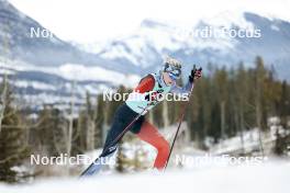10.02.2024, Canmore, Canada (CAN): Anna Stewart (CAN) - FIS world cup cross-country, individual sprint, Canmore (CAN). www.nordicfocus.com. © Modica/NordicFocus. Every downloaded picture is fee-liable.