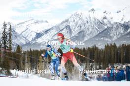 10.02.2024, Canmore, Canada (CAN): Anne Kyllonen (FIN) - FIS world cup cross-country, individual sprint, Canmore (CAN). www.nordicfocus.com. © Modica/NordicFocus. Every downloaded picture is fee-liable.